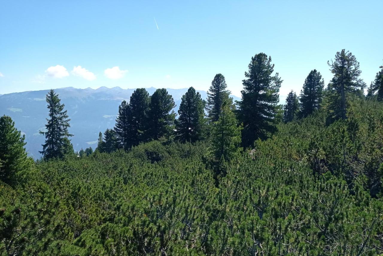Apart Anna Mayrhofen Εξωτερικό φωτογραφία