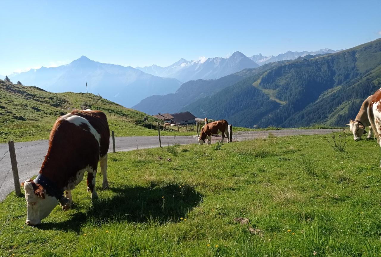 Apart Anna Mayrhofen Εξωτερικό φωτογραφία